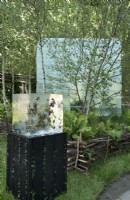 Giant ice block in woodland setting with flowers, foliage seed frozen in smaller ice cube