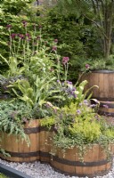 Wooden, salvaged Scottish whisky cask planters with indigenous planting 
