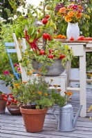 Vegetables and annuals in containers on patio.