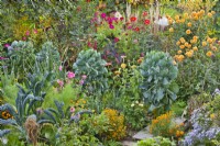 Mixed borders of perennials, annuals, vegetables and herbs: Brassica 'Nero di Toscana', fennel, Brussel sprouts, dahlia, Calendula officinalis, Tagetes tenuifolia, Aster, Zinnia elegans, Cosmos and curly kale.