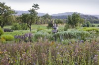 Annual and perennial wildflower meadow and bug boxes
