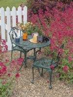 Centranthus ruber Red Valerian and garden still life with metal table and chairs