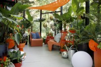 View of the seating area outside the 'Planet Studio', the planting includes Musa 'Dwarf Cavendish', Dypsis lutescens and Strelitzia nicolai; a shade sail provides shelter- Designer: James Whiting - Sponsor: Malvern Garden Buildings.