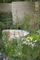 View of the meadow planting in the MInd Garden which includes Leucanthemum vulgare, Anchusa azurea 'Dropmore', Euphorbia palustris and Stipa gigantea with purbeck stone blocks creating a seating area- Designer: Andy Sturgeon - Sponsor: Project Giving Back.