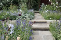 The planting by the steps in the Morris  and  Co. Garden includes Anchusa azurea 'Loddon Royalist', Aquilegia vulgaris var. stellata 'Ruby Port', Iris 'Jane Philllips' and Briza media 'Limouzi' - Designer: Ruth Willmott - Sponsor: Morris  and  Co.