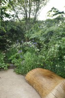 A sunken area with a bespoke oak sculpted seat has been created in The Place2Be Securing Tomorrow Garden, it is planted with a woodland style planting - Designer: Jamie Butterworth - Sponsor: Sarasin  and  Partners.