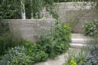 The planting by this clay rendered wall includes Valeriana officinalis, Briza media and Amsonia illustris in The Mind Garden - Designer: Andy Sturgeon - Sponsor: Project Giving Back.