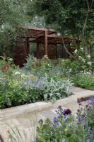 In the Morris  and  Co. Garden, the Yorshire stone paving is bordered by Stachys byzantina 'Big Ears' and Salvia nemorosa 'Crystal Blue' - Designer: Ruth Willmott - Sponsor: Morris  and  Co.