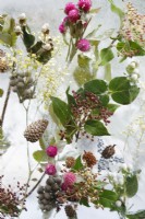 Close-up of flowers, leaves and pine cones frozen in ice in The Plantman's Ice Garden - Designer: John Warland - Sponsor:The Plantman  and  Co.