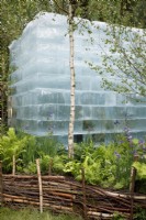 View of the woodland style planting which surrounds the monolithic ice block in The Plantman's Ice Garden, it includes Iris and ferns such as Matteuccia struthiopteris, the trunks are of Betula pendula, coppiced wood as been used to create the fencing - Designer: John Warland - Sponsor:The Plantman  and  Co.