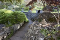 A stone path leads up a small slope between two acers and a low growing acer on left towards steps up to the main  garden. A black cat sits on the wall and a stone buddha sits on the right of the path. NGS Devon garden, Whitstone Farm. Spring.