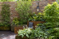 Stone troughs with shade loving plants including ferns, hosta and brunnera, Trachelospermum jasminoides trained against a brick wall with hanging lantern, wooden bench with cushion - The Enchanted Rain Garden, RHS Chelsea Flower Show 2022 - Silver Gilt Medal
