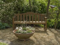 Secluded seating area in cottage garden