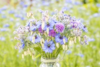 Bouquet containing Borage - Borago officinalis, Nigella 'Miss Jekyll', Chives - Allium schoenoprasum, Quaking grass - Briza maxima