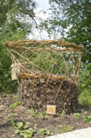 Willow branches woven big basket with autumn leaves to recycle.