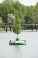 Floating tree in green container on lake.