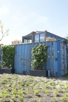 Tiny house made of sea containers with vertical garden planting.