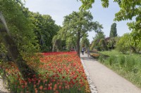 Berlin Germany 
Britzer Garten Landscape gardens. Constructed for the Bundesgartenschau 1985. 
Tulip gardens. 