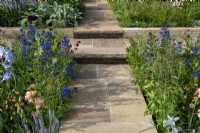 Yorkstone paved path with handmade clay tile risers, leads through planting of Anchusa  'Loddon Royalist', Iris 'Jane Philips' and Iris 'Party Dress'  - Morris  and  Co, RHS Chelsea Flower Show 2022 - Gold Medal