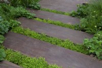 Chamaemelum nobile planted between decking boards - The Meta Garden, RHS Chelsea Flower Show 2022 - Gold Medal