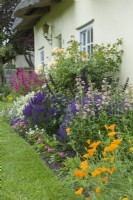 Colourful mixed border in front of thatched cottages. Eschscholzia californica - California poppy, penstemons, salvias, dianthus and roses. June