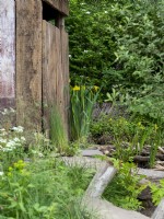 Pathway of wood with wooden shed in RHS Show Garden A Rewilding Britain Landscape.
