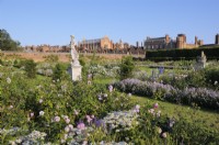 Hampton Court Palace Rose Garden - East Molesey, Surrey, UK