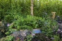 High blue raised bed with  green, purple, bronze and blue planting including Sambucus  'Black Beauty' and Betula nigra tree in raised bed   - SSAFA Sanctuary Garden. 