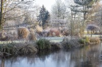 Ice forming on the pond in Foggy Bottom Garden, border of grasses beyond in frost - January 