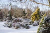 Form and structure of conifers in winter snow - January

Foggy Bottom, The Bressingham Gardens, Norfolk, designed by Adrian Bloom

