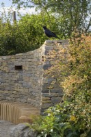 Crow sitting on stone spiral wall with in-built wooden bench - The RAF Benevolent Fund Garden -