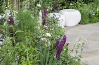 Two white stone seating cubes through green and white herbaceous planting  with Fennel, Rosa 'Desdemona' and Lupin 'Masterpiece' - - The Perennial Garden With Love - Richard Miers