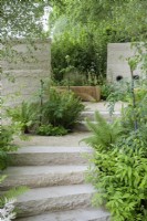 Purbeck stone steps up to shady seating area with oak bench and planting of Blechnum spicant and Valeriana alliariifolia - The Mind Garden 