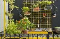 Balcony repotting workstation with tools and pots on yellow rack against black wall - The Potting Balcony Garden