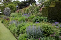 The herbaceous border  in the walled garden at Goldstone Hall Gardens, with Nepeta racemosa 'Walker's Low', Catmint, Geranium 'Gerwat' Rozanne, Geranium Rozanne and Geum rivale 'Mrs. Bradshaw'.