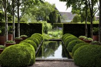 The Upper Rill Garden at Wollerton Old Hall Garden beneath an avenue of  Carpinus betulus, European hornbeam, and Buxus sempervirens, boxwood or box, clipped into balls.