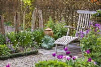Spring garden with wooden lounger and  mixed bed with tulips Tulipa 'Purple Dream', Tulipa 'Shirley', Tulipa 'Synaeda Amor' and Tulipa 'Negrita'.