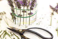 Sticking lavender flowers behind elastic rubber on glass vase - Step by step How to make a lavender candle holder