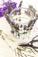 Sticking lavender flowers behind elastic rubber on glass vase - Step by step How to make a lavender candle holder