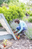 Woman positioning plants along the side of the shaded dog bed