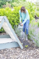 Woman watering the plants along the side of the shaded dog bed