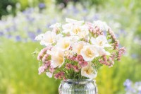 Bouquet containing Eschscholzia californica 'Peach Sorbet', Orlaya grandiflora and Limonium 'Apricot Beauty' in a glass container