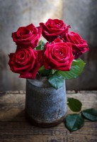 A bouquet of red Rosa 'Naomi' , roses in a galvanized pot photographed against a rustic wooden setting.
