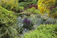 A sunken garden at the home of garden designer Tom Stuart Smith bounded on one side by rusted steel panels and featuring  raised weathered steel water troughs amongst the mixed herbaceous  planting. The planting includes Eryngiums, Salvia, Euphorbia mellifera, and Cytisus or broom.