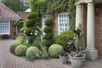 Topiary and pots in the front garden at Hamilton House, in May