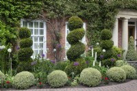 Topiary in the front garden at Hamilton House, in May