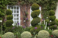 Topiary in the front garden at Hamilton House, in May