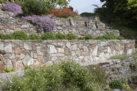 Long, narrow terraces, planted for colour and with Easter Island style sculptural heads to add extra interest. Briar Cottage Garden. Devon NGS garden. Spring