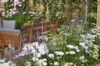Mixed daisies and perennials in #knollingwithdaisies garden at RHS Hampton Court Palace Garden Festival 2022#knollingwithdaisies garden at RHS Hampton Court Palace Garden Festival 2022