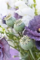 Bouquet containing Poppy seed pods, Papaver rhoeas 'Amazing Grey' - Poppy, Centaurea 'Ball White', Centranthus ruber White - Valerian, Antirrhinum 'White Admiral' and Echinops ritro 'Globe Thistle'